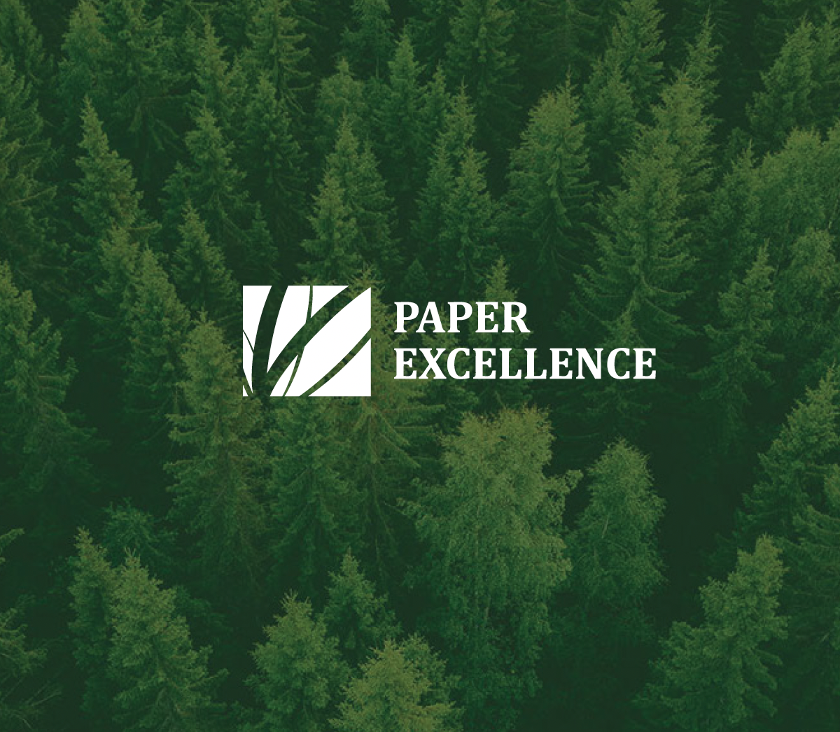 Paper Excellence