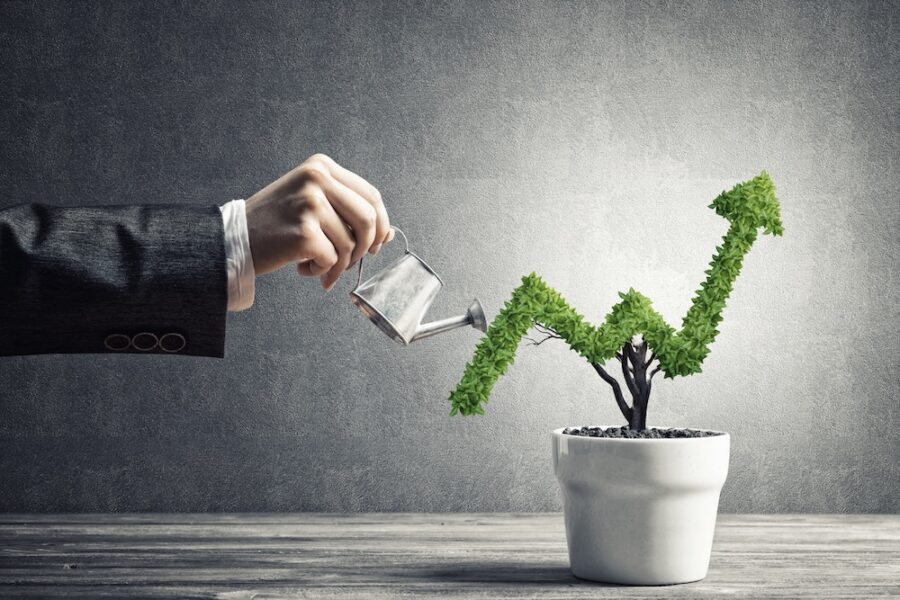 Marketing strategies for small business